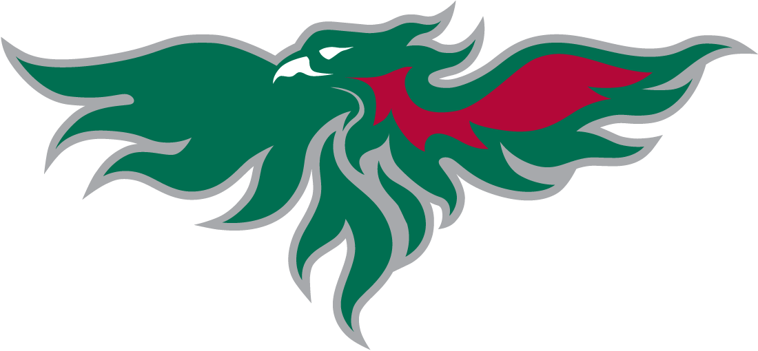 Wisconsin-Green Bay Phoenix 2007-Pres Partial Logo DIY iron on transfer (heat transfer)